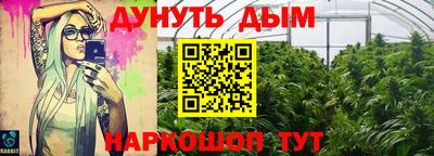 гашик Кинель