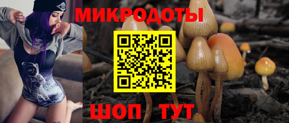 Псилоцибиновые грибы MAGIC MUSHROOMS  Галлюциногенные грибы прущие грибы  Кузнецк  Вход с VPN 