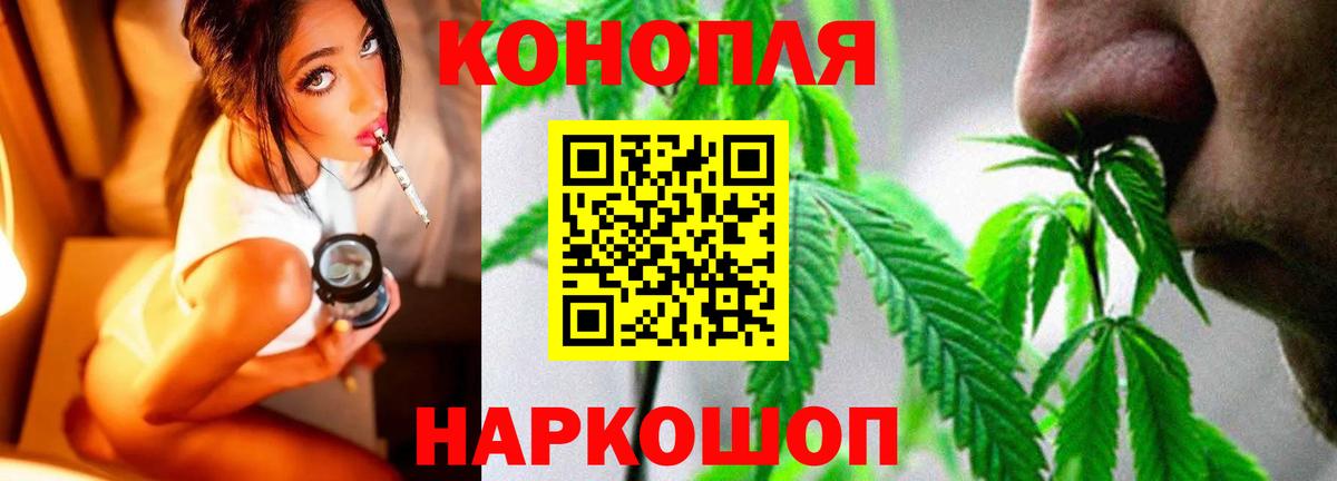 Каннабис индика Кузнецк